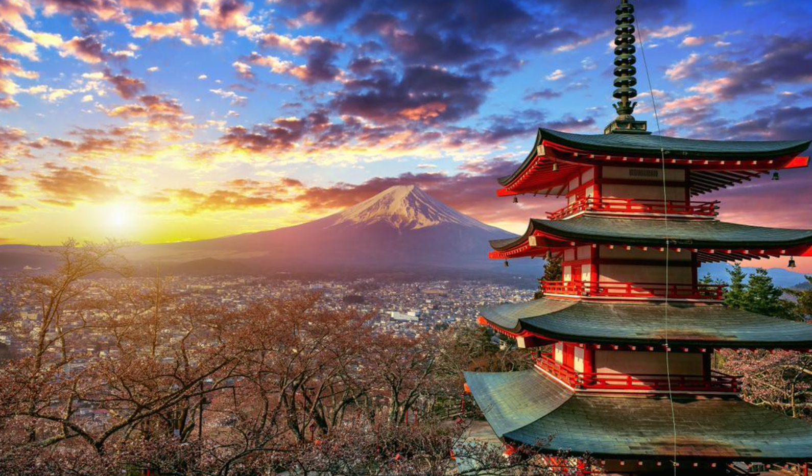 Sectur busca explotar el turismo japonés en México